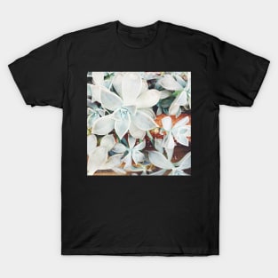 Succulent Falls T-Shirt